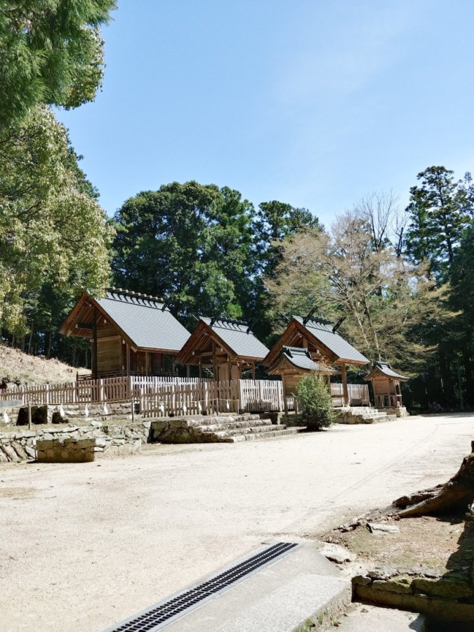 桜の季節に🌸