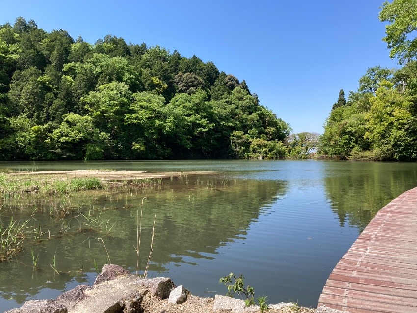 寄り添いの気持ち